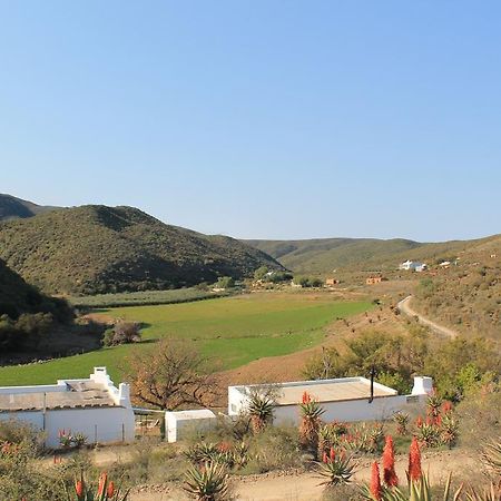 Matjiesvlei Guestfarm Villa Calitzdorp Exteriör bild