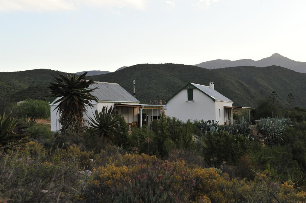 Matjiesvlei Guestfarm Villa Calitzdorp Exteriör bild