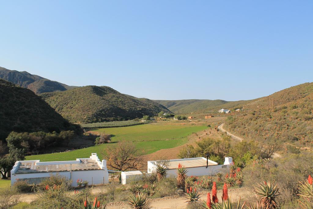 Matjiesvlei Guestfarm Villa Calitzdorp Exteriör bild
